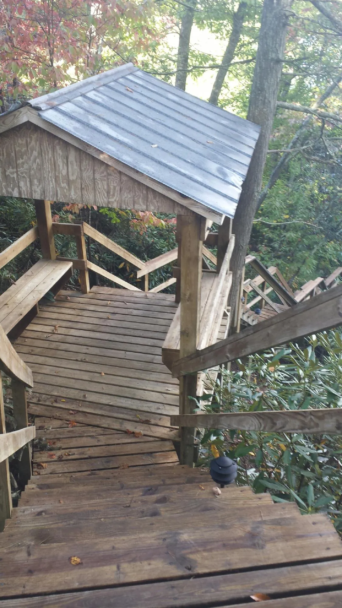 Metal roofed shelter over wooden steps on a wooded walkway — Skylight Repair & Installation work by our crew in University Place
