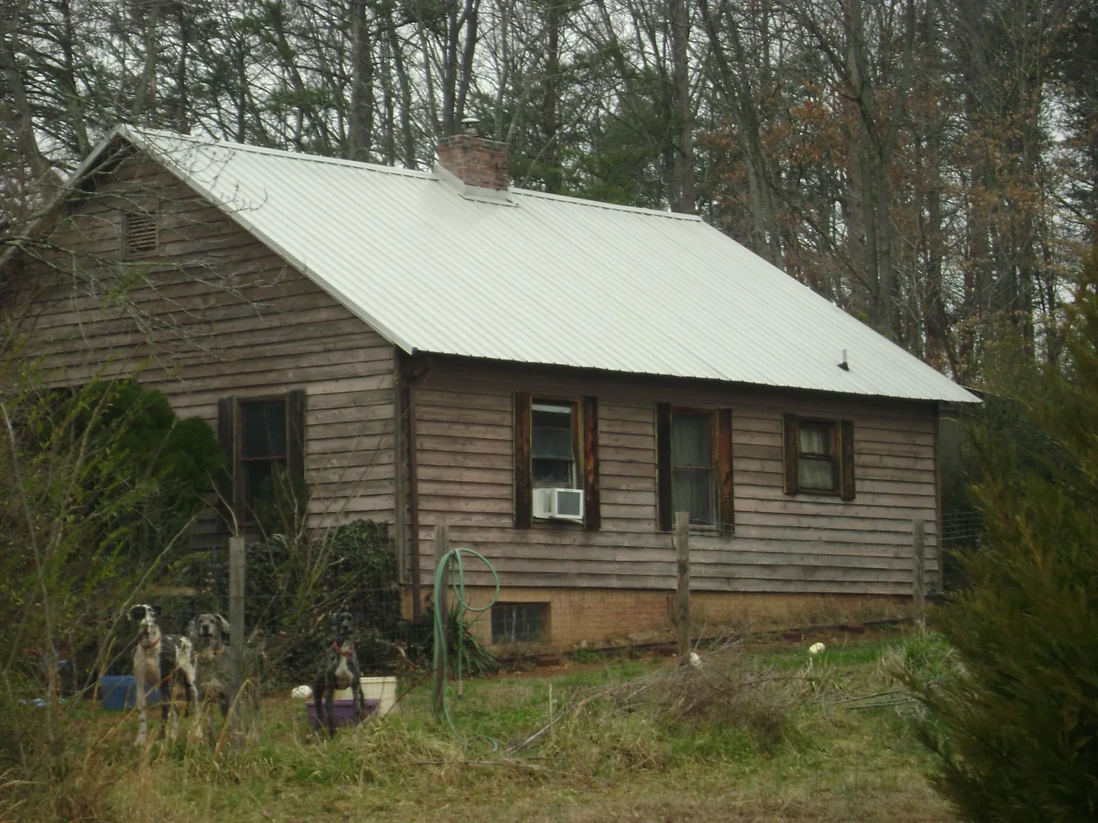 White metal roof on an old wood sided farmhouse, from a Metal Roof Installation job in University Place
